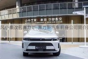 东风小康改名赛力斯-赛力斯汽车前身公司简介是什么