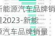 新能源汽车品牌销量2023-新能源汽车品牌销量