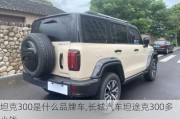 坦克300是什么品牌车,长城汽车坦途克300多少钱