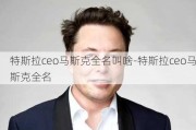 特斯拉ceo马斯克全名叫啥-特斯拉ceo马斯克全名