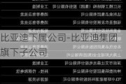 比亚迪下属公司-比亚迪集团旗下子公司