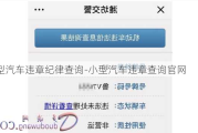 小型汽车违章纪律查询-小型汽车违章查询官网