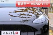 特斯拉可以开多少公里报废车-特斯拉可以开多少公里