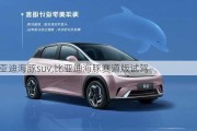 比亚迪海豚suv,比亚迪海豚赛道版试驾