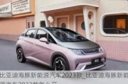 比亚迪海豚新能源汽车2023款_比亚迪海豚新能源汽车2023款怎么开