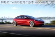 特斯拉model3有几个版本_model3有几款