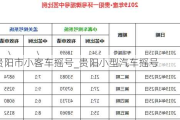 贵阳市小客车摇号_贵阳小型汽车摇号