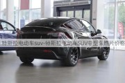 特斯拉电动车suv-特斯拉电动车SUV中型车照片价格