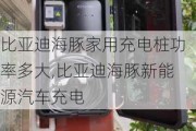 比亚迪海豚家用充电桩功率多大,比亚迪海豚新能源汽车充电