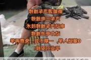 新能源汽车维修难-新能源汽车维修难不难学