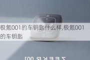 极氪001的车钥匙什么样,极氪001的车钥匙