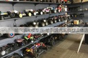 哈尔滨rc模型店-哈尔滨汽车模型实体店