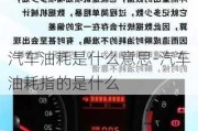 汽车油耗是什么意思-汽车油耗指的是什么