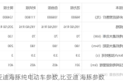 比亚迪海豚纯电动车参数,比亚迪 海豚参数