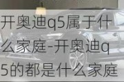 开奥迪q5属于什么家庭-开奥迪q5的都是什么家庭