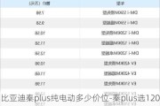 比亚迪秦plus纯电动多少价位-秦plus选120km还是55km