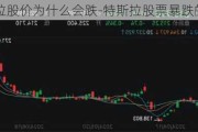 特斯拉股价为什么会跌-特斯拉股票暴跌的原因