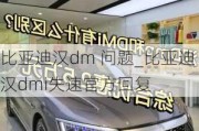 比亚迪汉dm 问题_比亚迪汉dmi失速官方回复