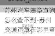 苏州汽车违章查询怎么查不到-苏州交通违章在哪里查