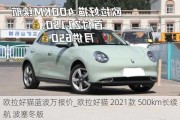 欧拉好猫蓝波万报价_欧拉好猫 2021款 500km长续航 波塞冬版