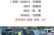 坦克300落地,长城坦途克300落地价格