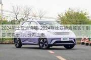 2024款比亚迪海豚-2024款比亚迪海豚实车到店 或将于2月份内上市