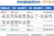 长安汽车股票怎么了-长安汽车资金流向全览