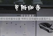 特斯拉音频最佳设置-特斯拉音频最佳设置是什么