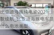 比亚迪海豚纯电动2021款续航_比亚迪海豚电车是什么电池类型