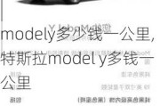 modely多少钱一公里,特斯拉model y多钱一公里