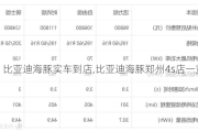 比亚迪海豚实车到店,比亚迪海豚郑州4s店一览表