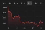 特斯拉股票股最新价格-特斯拉股票价格实时行情查询