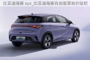 比亚迪海豚 suv_比亚迪海豚自由版落地价贴吧