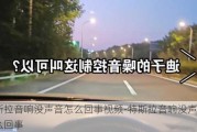 特斯拉音响没声音怎么回事视频-特斯拉音响没声音怎么回事