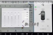 特斯拉3音响怎么解锁_特斯拉model3音响激活