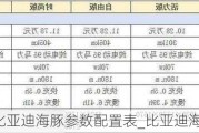 比亚迪海豚参数配置表_比亚迪海豚参数表