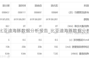 比亚迪海豚数据分析报告_比亚迪海豚数据分析