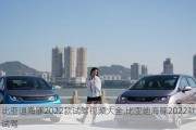 比亚迪海豚2022款试驾视频大全,比亚迪海豚2022款试驾