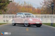 欧拉好猫是什么品牌的车,欧拉好猫是什么车型