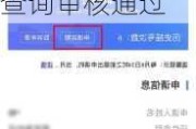 小汽车摇号查询结果查询-小汽车摇号查询结果查询审核通过