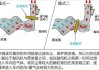 汽车空调滤芯工作原理视频-汽车空调滤芯调查