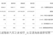 比亚迪海豚汽车之家报价_比亚迪海豚最新信息