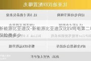 新能源比亚迪汉-新能源比亚迪汉比EV纯电第二年保险费多少