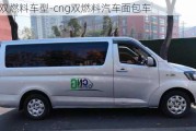 cng双燃料车型-cng双燃料汽车面包车