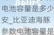 比亚迪海豚参数电池容量是多少安_比亚迪海豚参数电池容量是多少