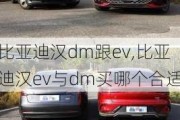 比亚迪汉dm跟ev,比亚迪汉ev与dm买哪个合适