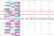 四川野马汽车现状分析-四川野马汽车现状分析报告