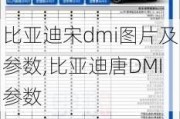 比亚迪宋dmi图片及参数,比亚迪唐DMI参数