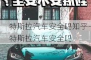 特斯拉汽车安全吗知乎-特斯拉汽车安全吗