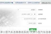 天津小型汽车违章查询系统-天津小型汽车违章查询